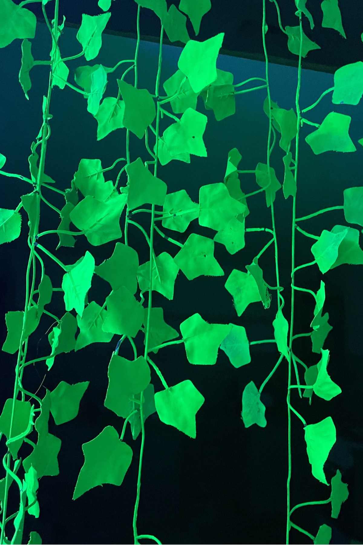 UV Green Fake Ivy