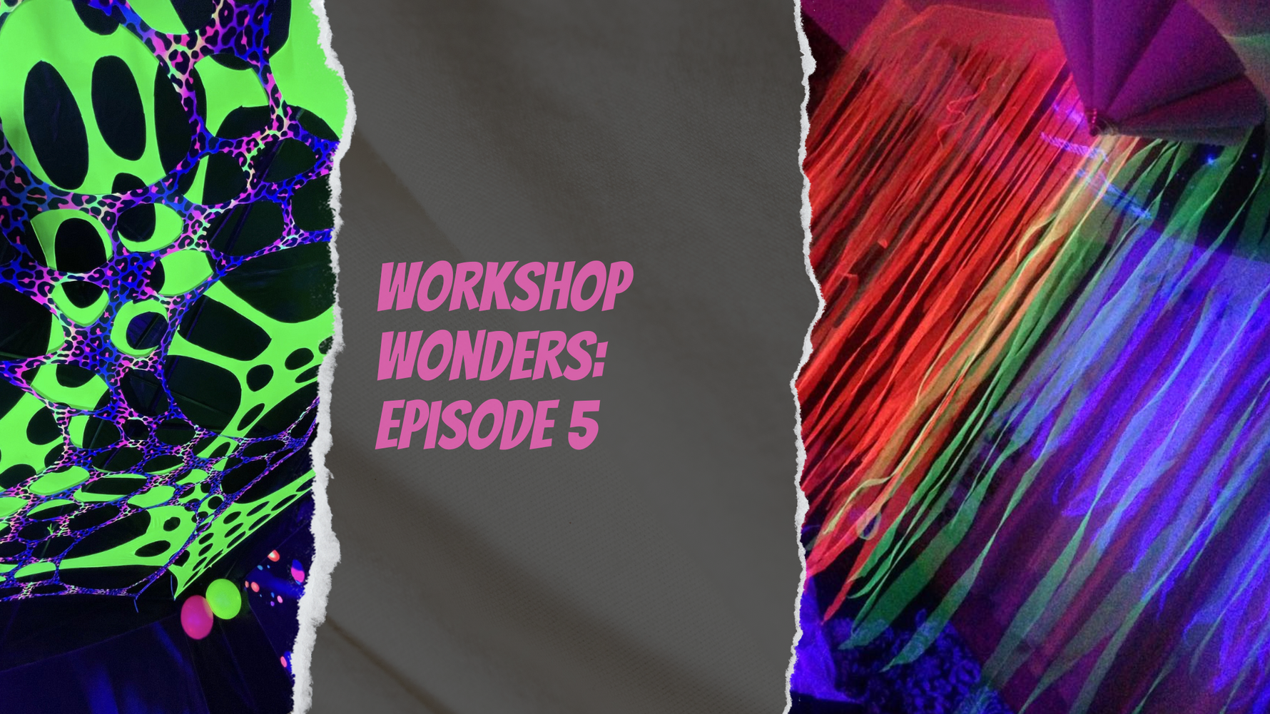 Workshop Wonders: Episode 5 - Finding, Renovating, and Growing