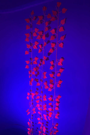 UV Red Fake Ivy