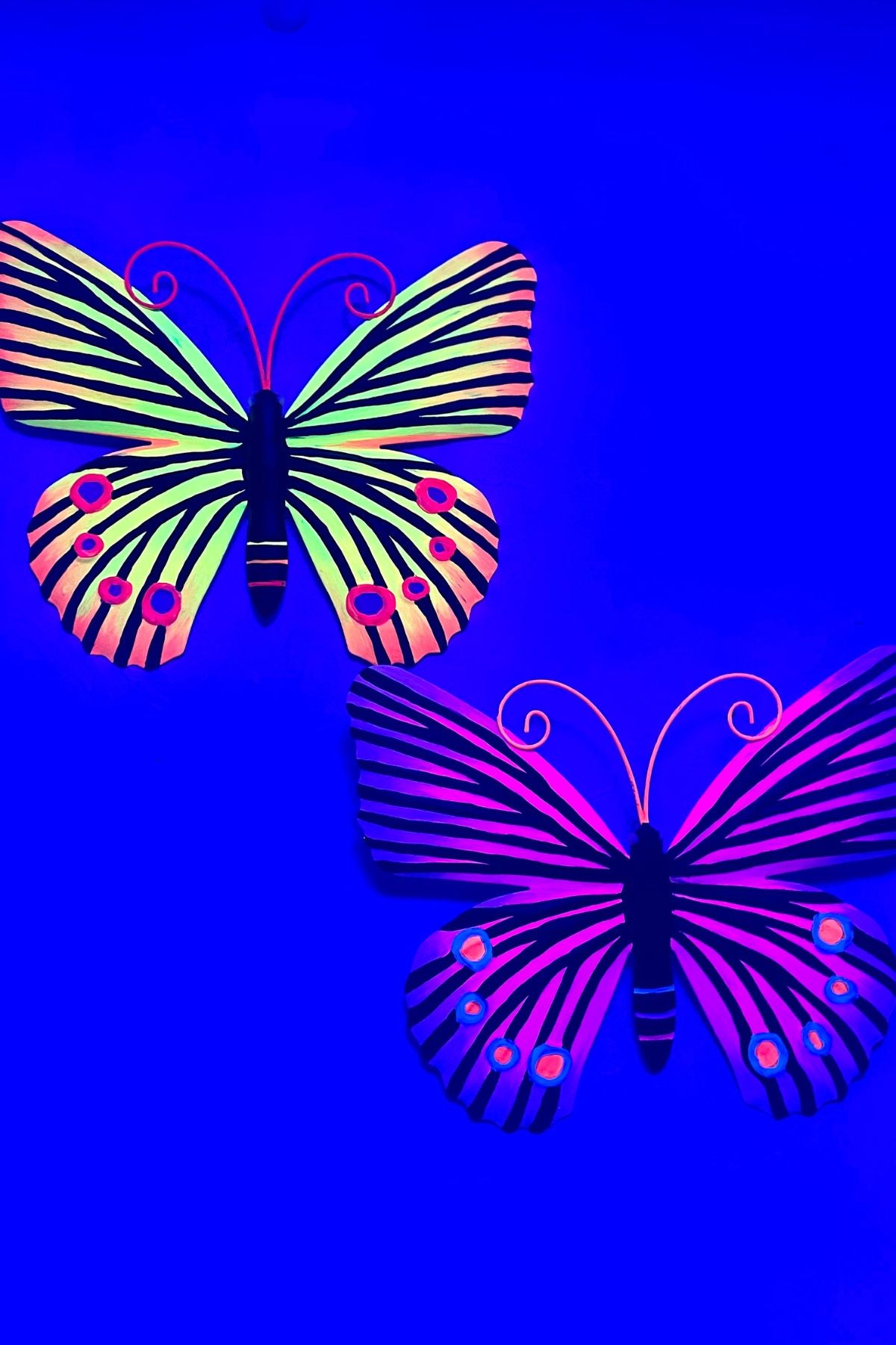 UV-Reactive Butterfly Party And Event Decorations