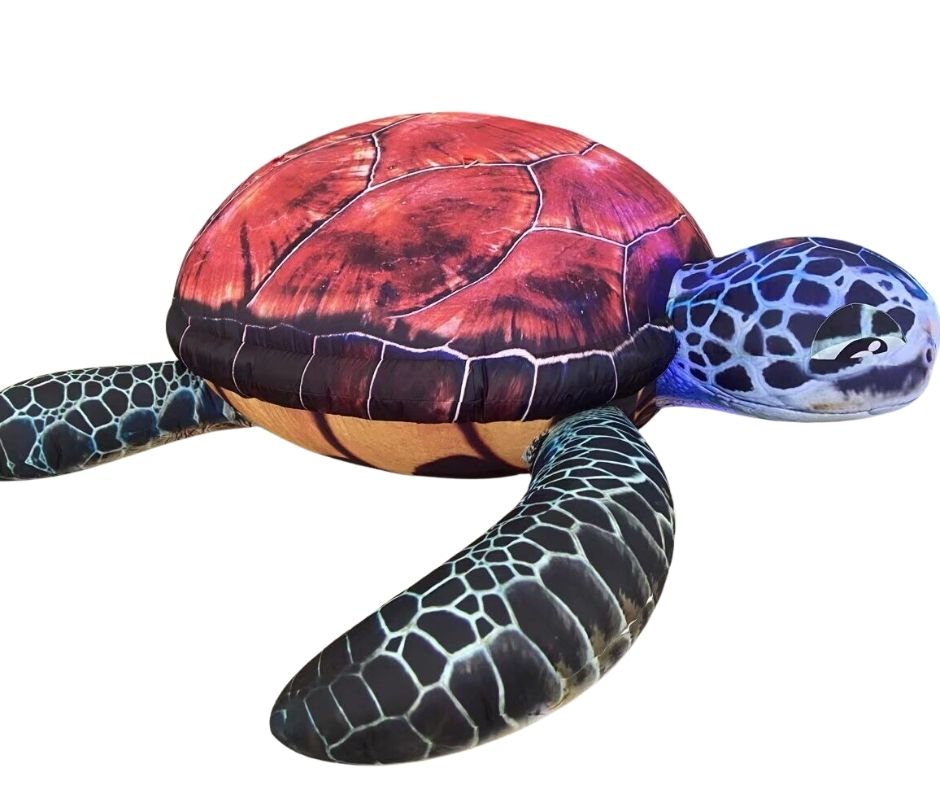 Colorful turtle prop with a red shell on a white background