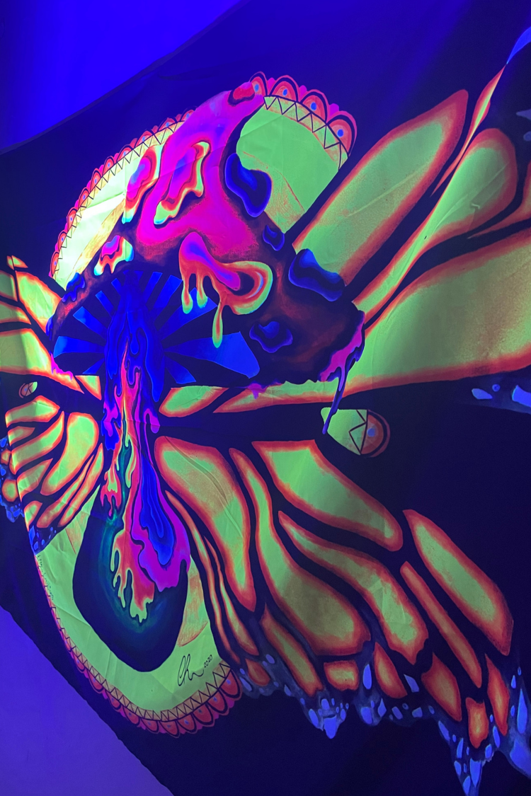 UV-Reactive butterfly wall hanging