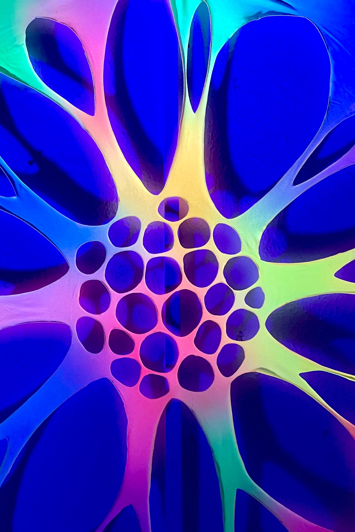 Medium UV Rainbow Party Hire Bundle – Psychedelic Stretch Webs with Pixie & Mushroom Wall Hanging