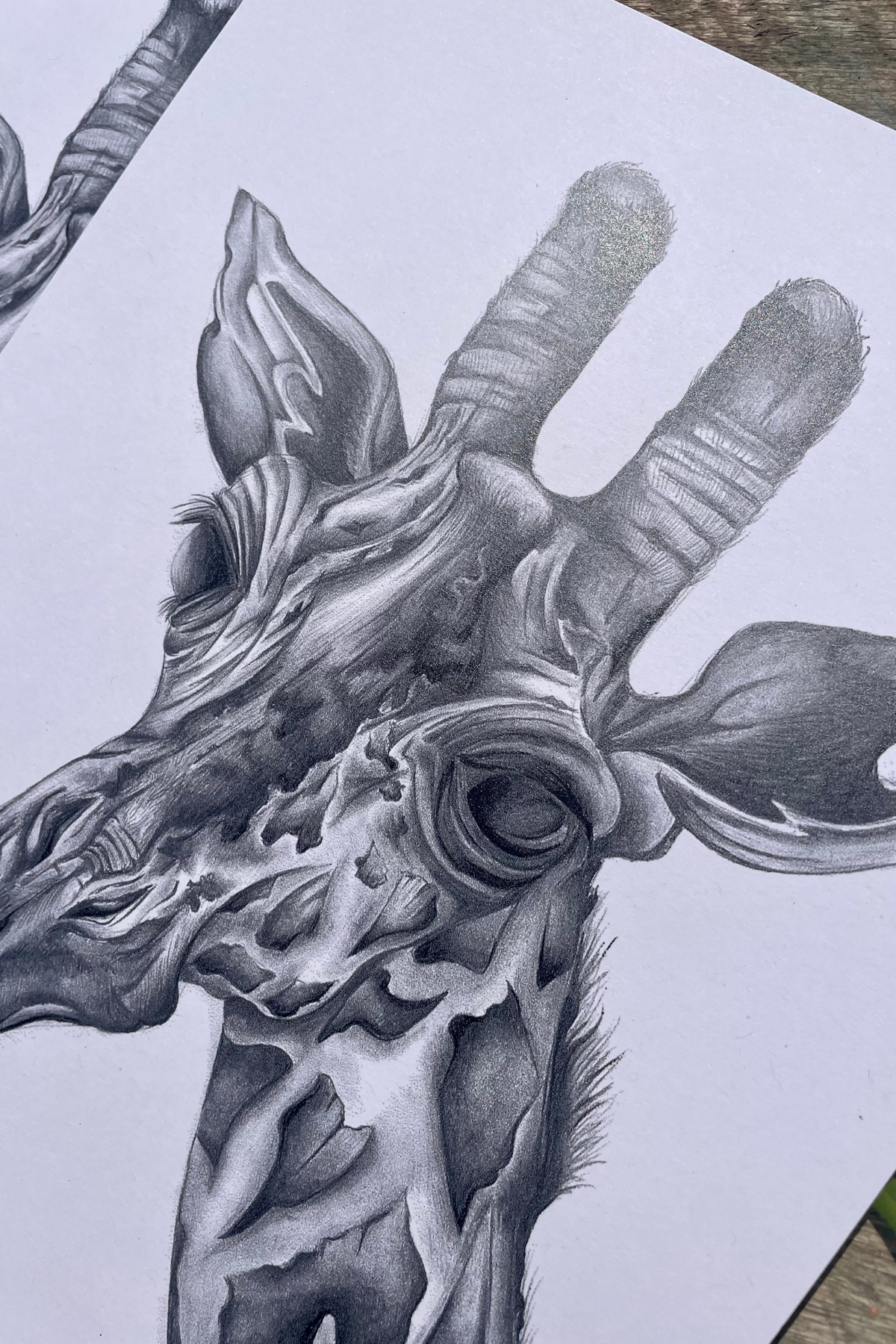 Black And Grey Giraffe Print