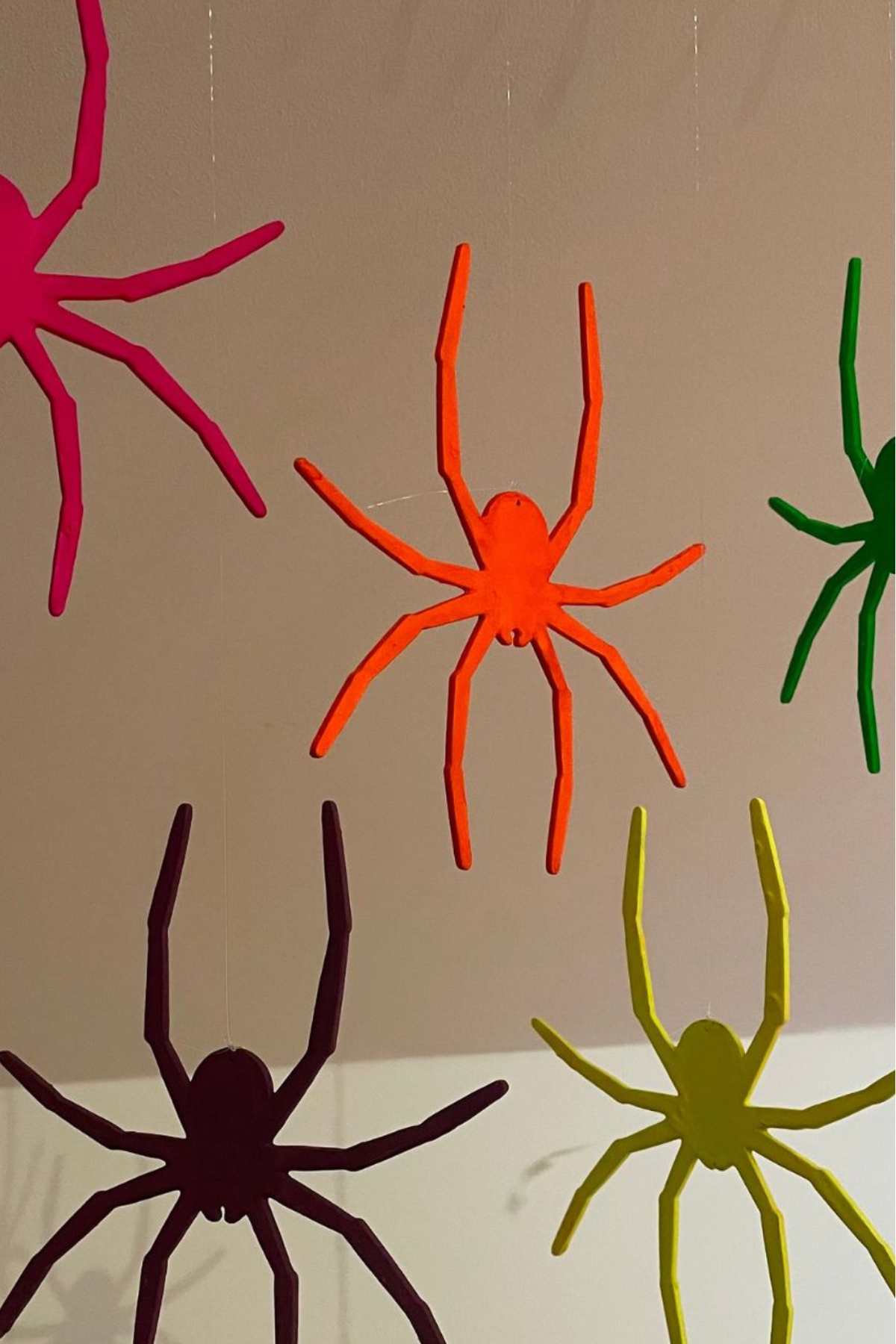 Pack Of 5 Hanging Spiders