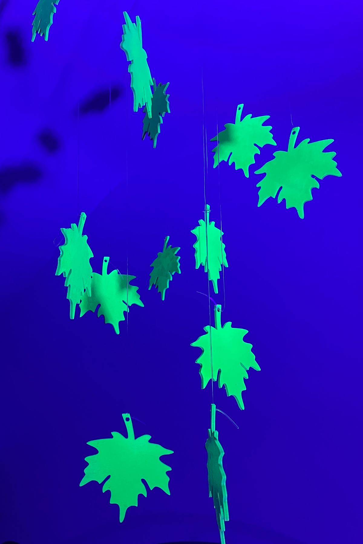 Pack Of 6 Hanging Leaf Shapes