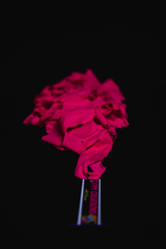 Pink UV décor hire for nightclubs, themed parties, and venues