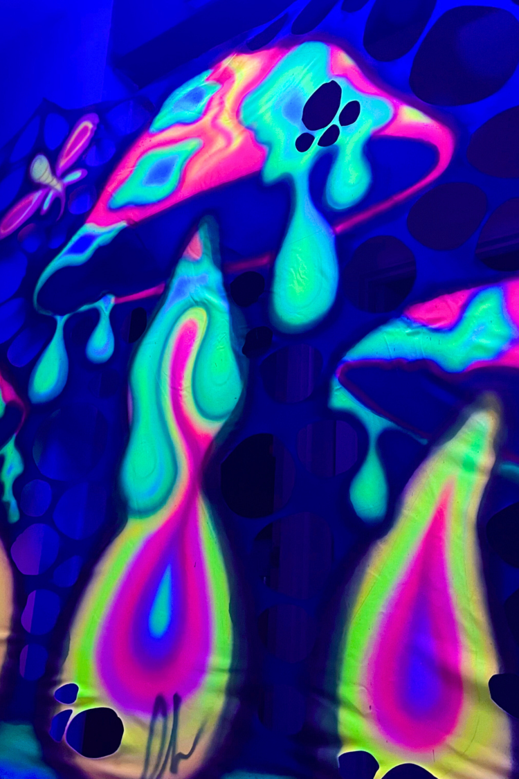 psychedelic mushroom uv decor for rent