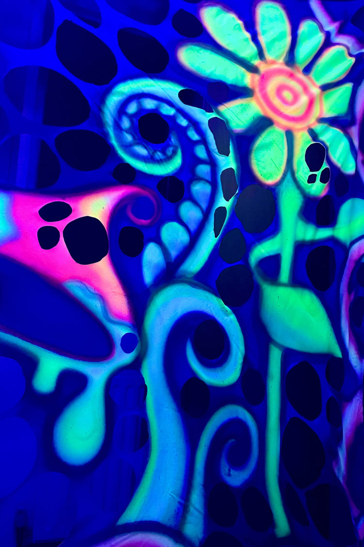 sprayed using an airbrush with waterbased UV paints. Our bespoke design is available for hire