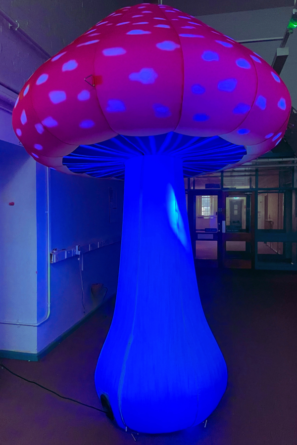 Whimsical LED mushroom hire prop illuminating a nighttime celebration
