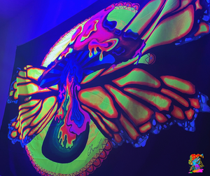 Pack Of 5 UV Butterfly Shroom Trippy Tapestries For Parties And Events