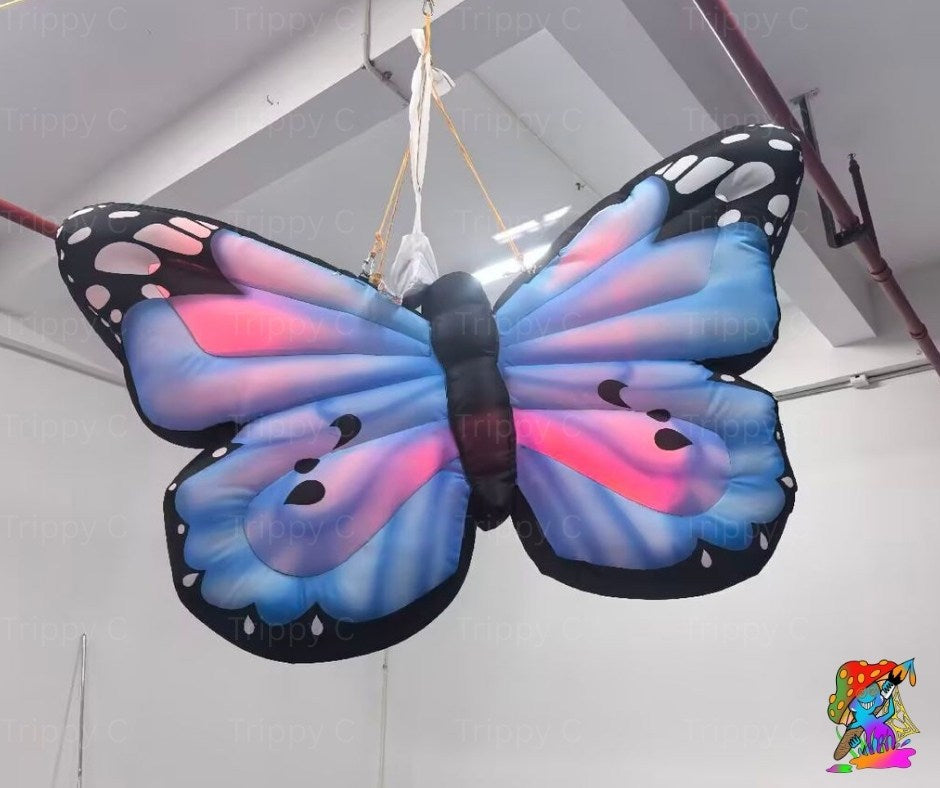 Large butterfly-shaped kite with colorful wings hanging indoors.