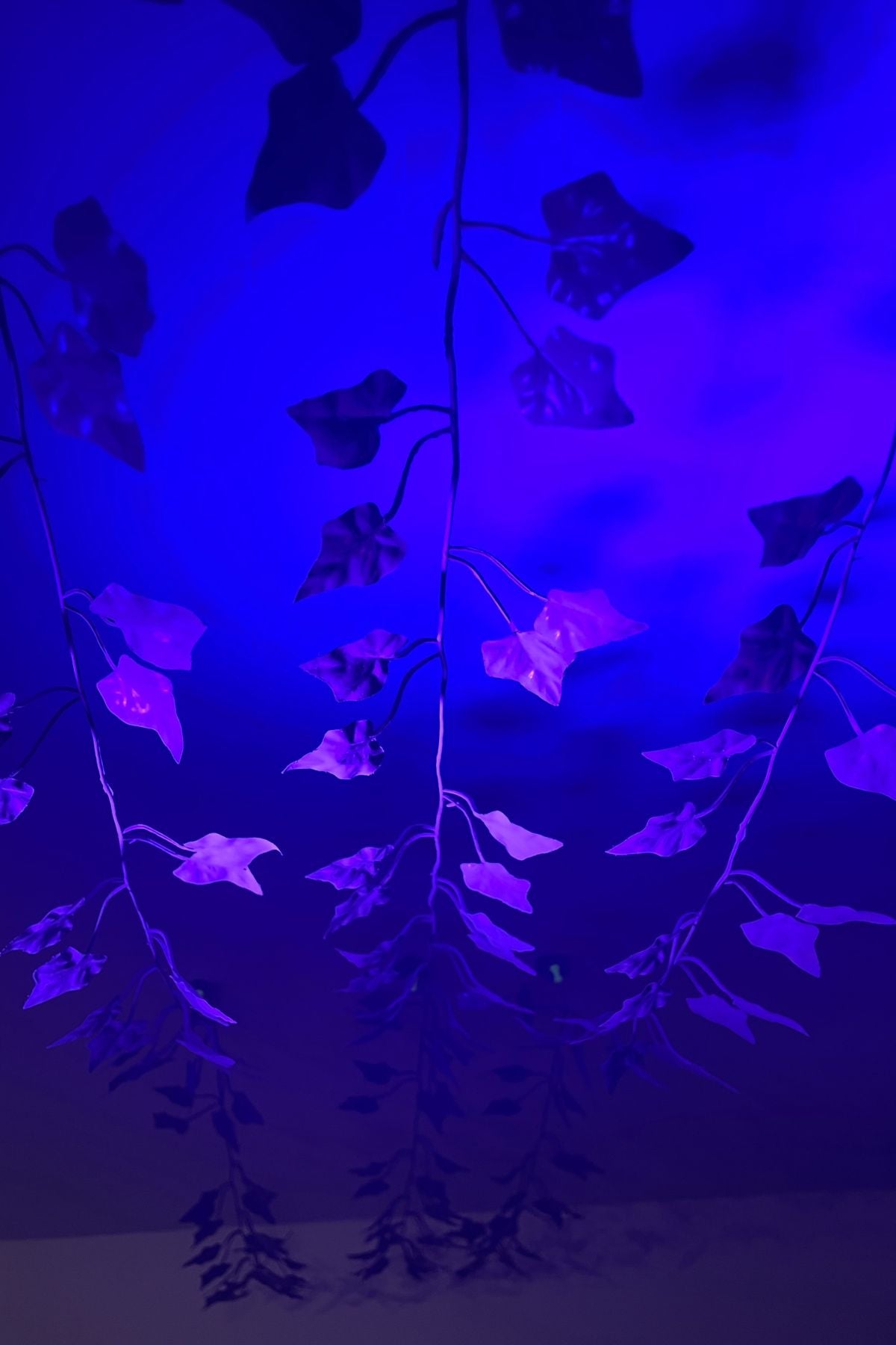 UV Purple Fake Ivy