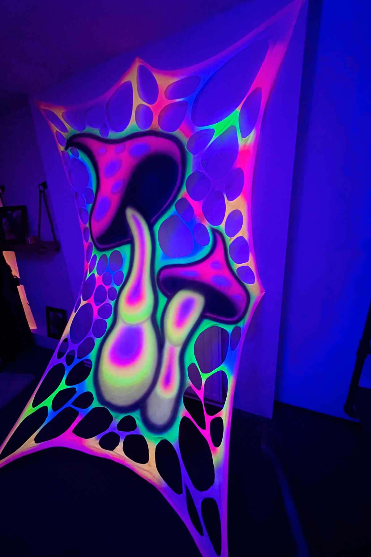 UV Psychedelic Mushroom Bespoke Art Web