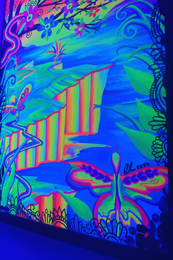 UV-Reactive, Psychedelic Framed Butterfly landscape Painting