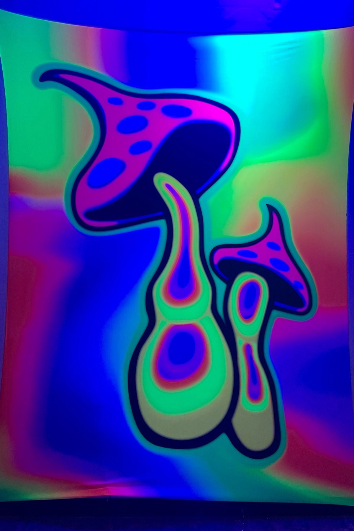 UV-Reactive Psychedelic Mushroom Printed Wall Hanging