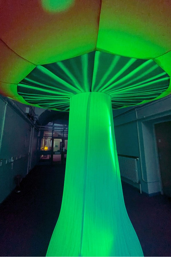 Magical LED inflatable mushroom perfect for large parties and festivals