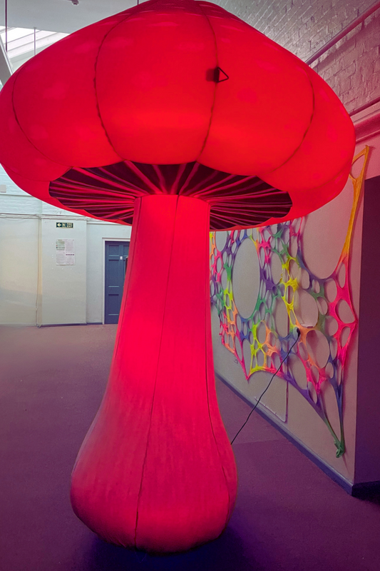LED flashing inflatable mushroom hire prop set up for a festival
