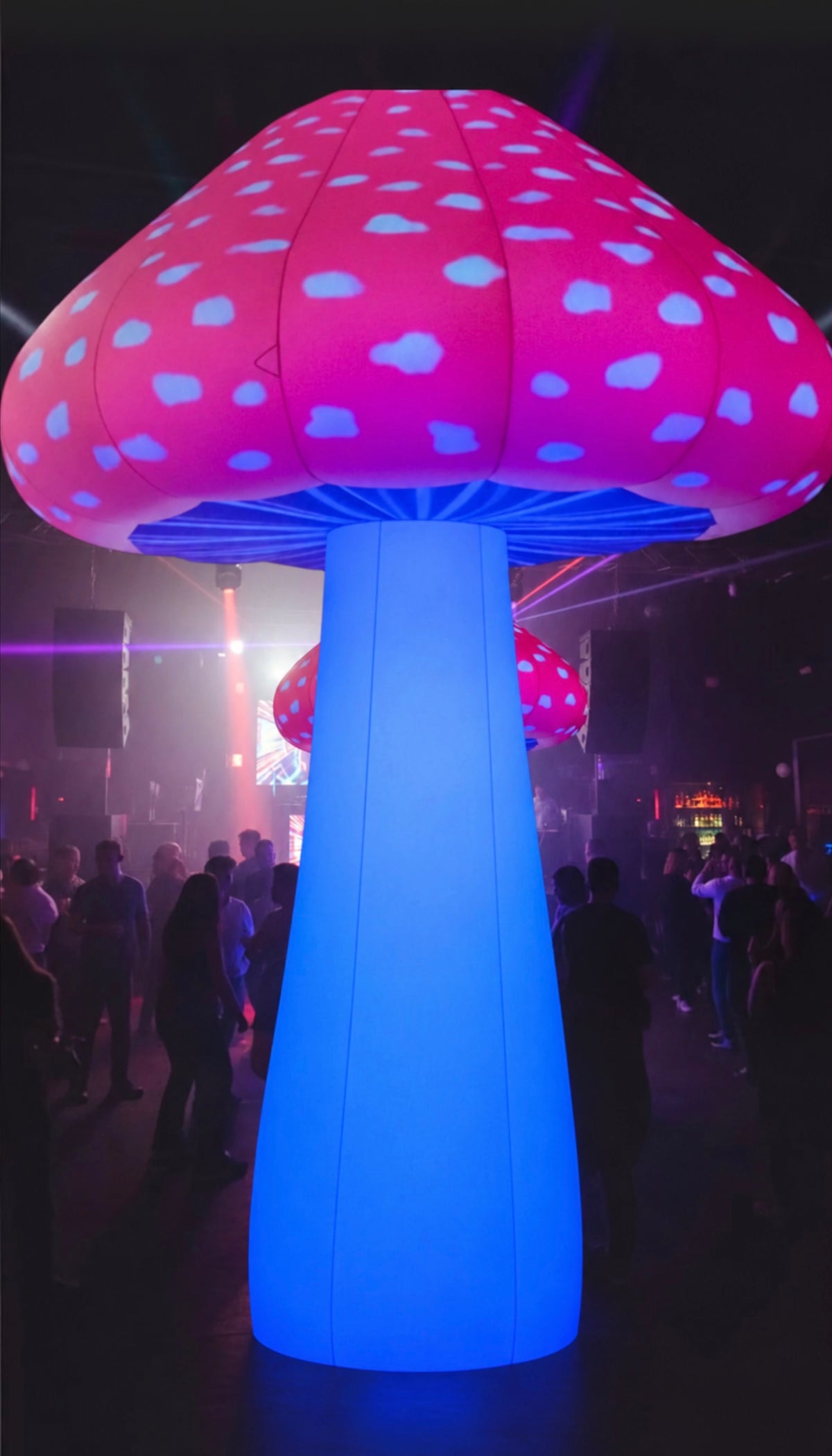 Giant 3m Size Mushroom Party Prop Hire