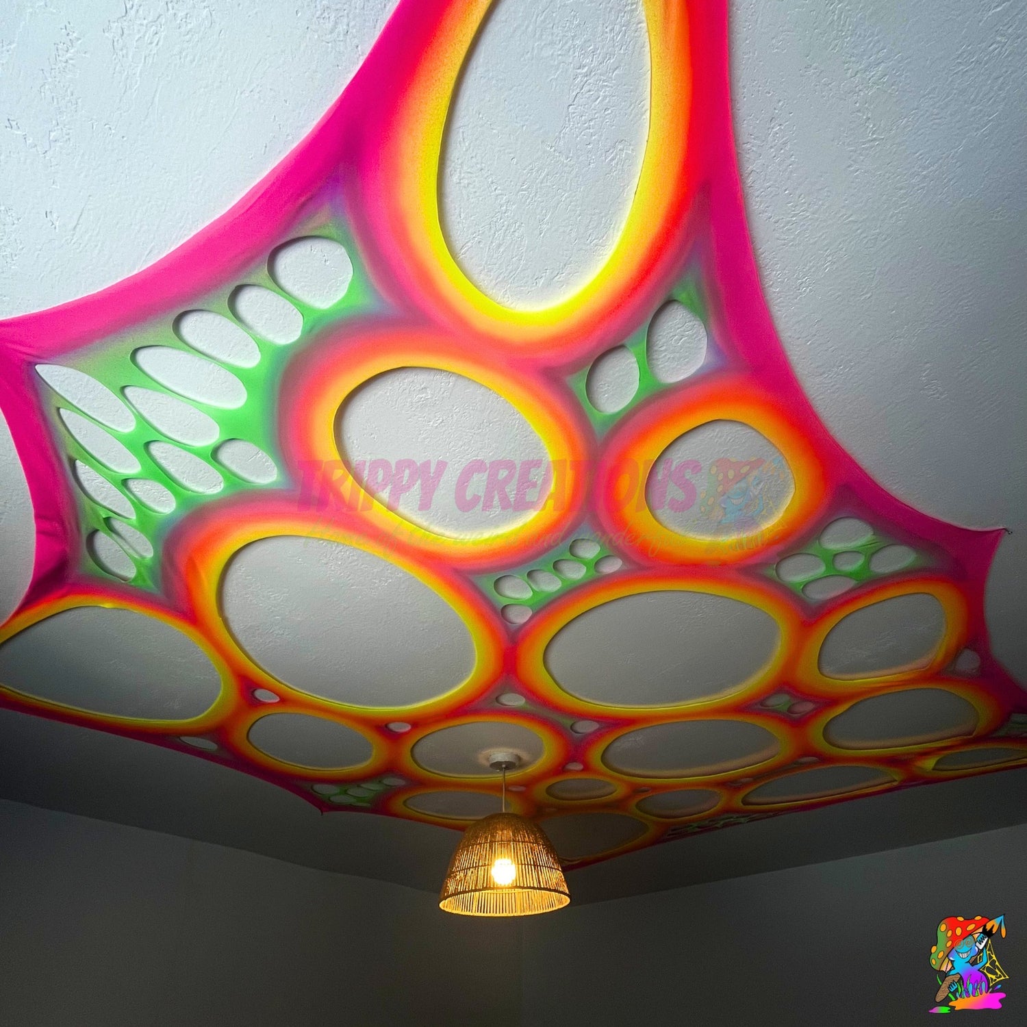 UV Bedroom Ceiling Canopy