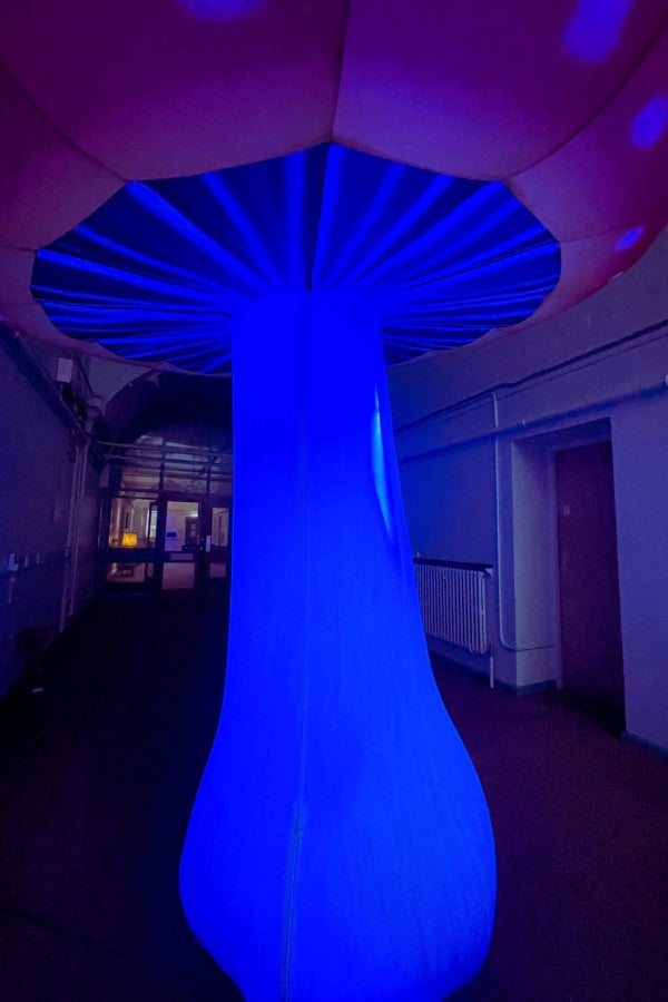Durable oxford fabric inflatable mushroom with sandbags and ropes