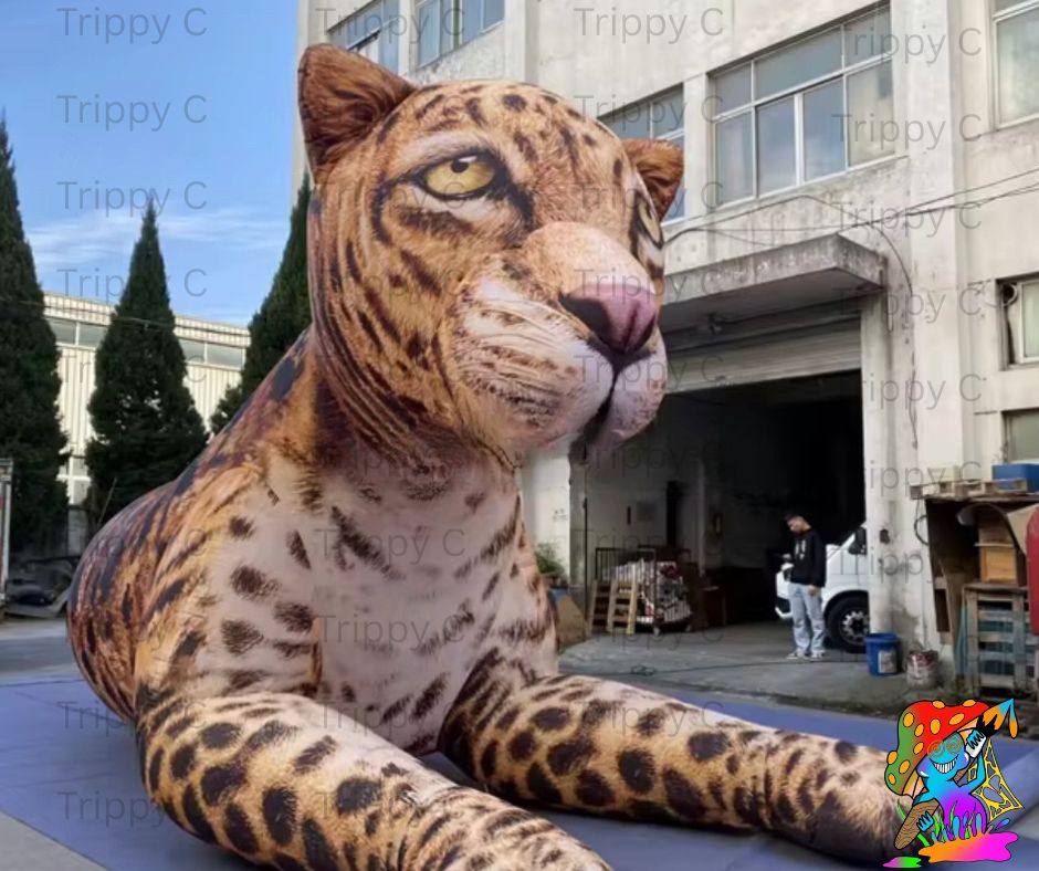Giant leopard inflatable for safari or zoo themed parties