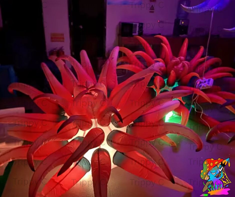 Multi-coloured underwater inflatable for ocean and fantasy events