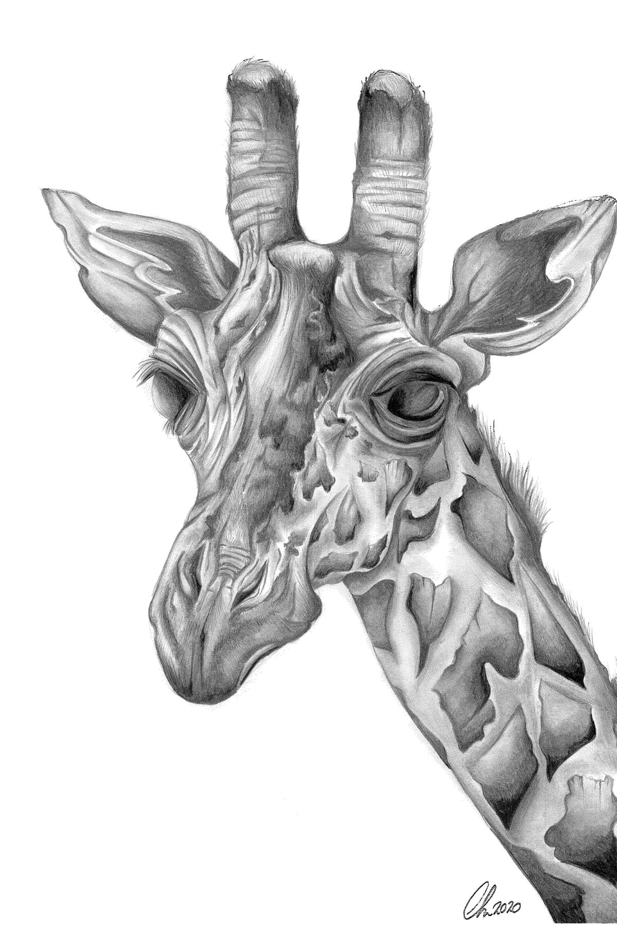 Black And Grey Giraffe Print