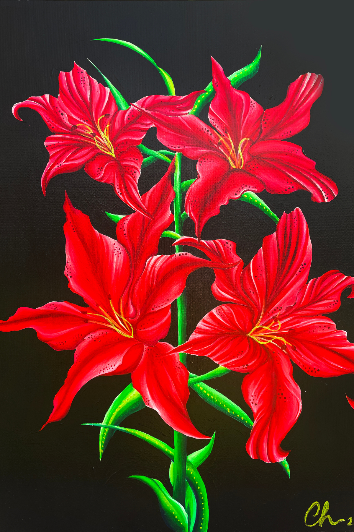 Red Velvet Lily Print