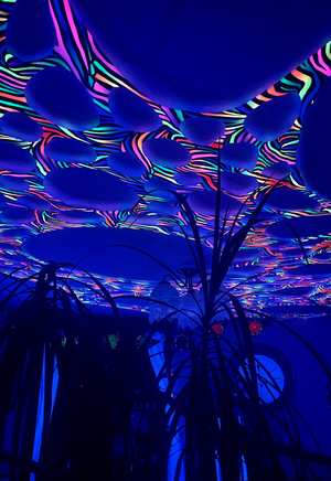 UV Reactive zebra print event decorations, psychedelic decorations