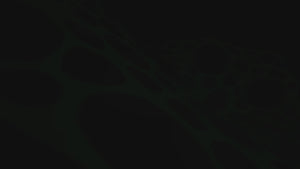 Pack Of Two 3m Sized UV Green Decorations